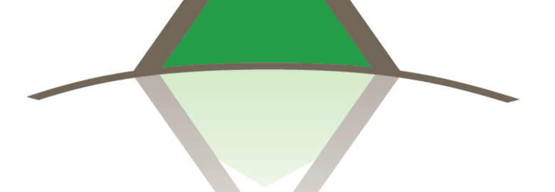 AltaVista Strategic Partners