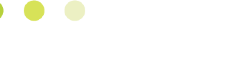 Limelight Marketing Systems