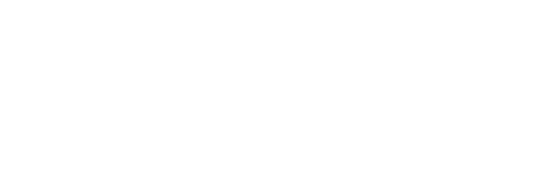 Carolina Digital Strategies