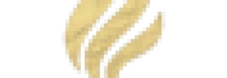 Fuel Marketing Solutions | Digital Marketing Agency