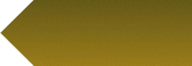 100 Local Network LLC