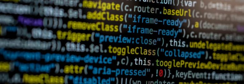 SW Development Services