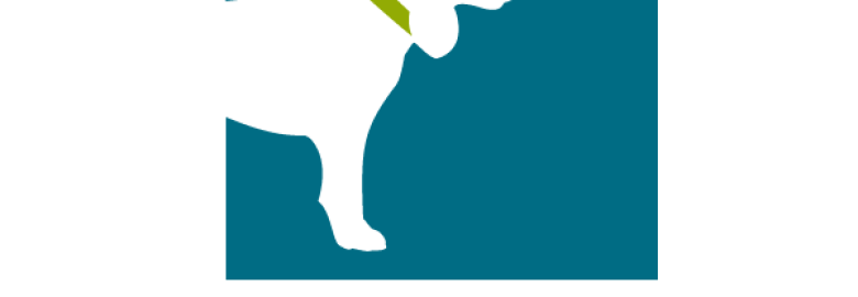 Unleashed Strategy Consultants