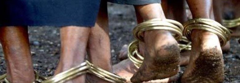 Reedsport Web Design