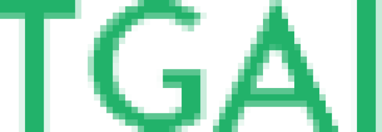 NETGAINS IT & DIGITAL MARKETING