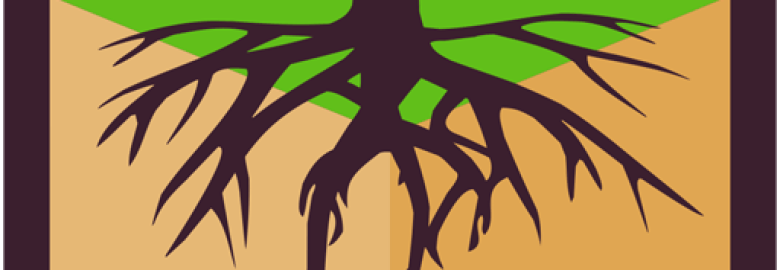 New Media Roots