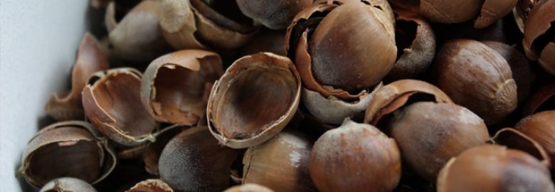 Acorn Marketing Communications