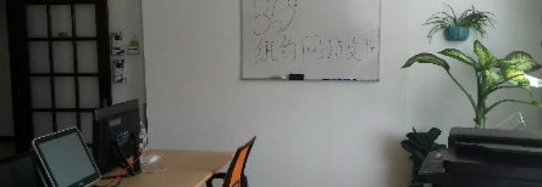 369纽约网站设计