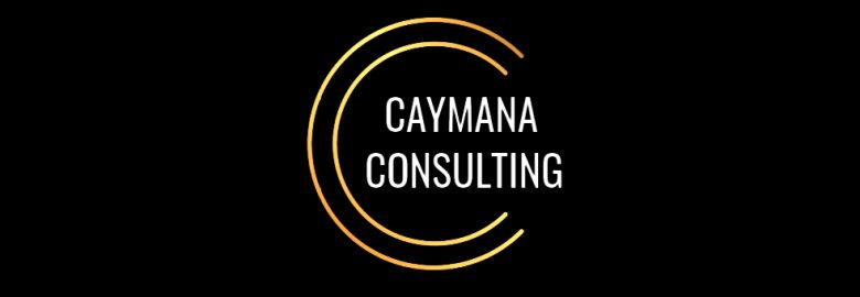 Caymana Consulting: Best Website Designer Queens, Website Design Company, Website Designer Long Island