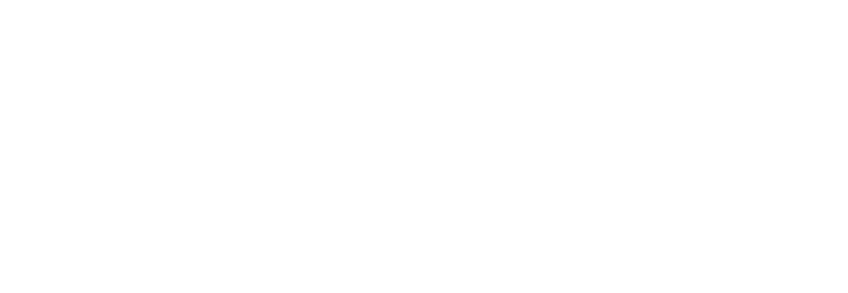 Palmer & Palmer Consulting and Strategic Resolution