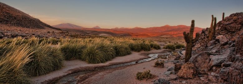 Desert Foothills Digital Marketing Agency