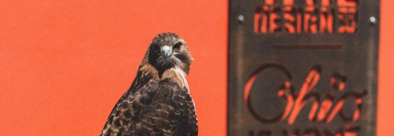 Red Tail Design Company