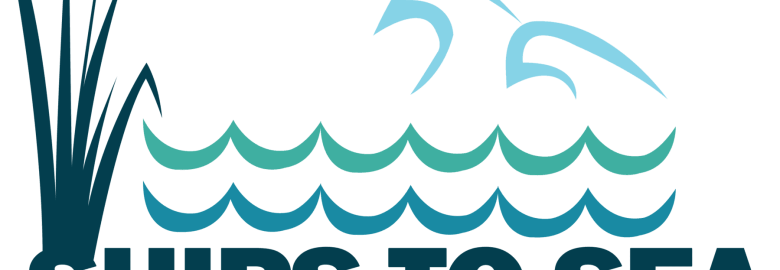 Wing Marine Marketing and Business Consulting