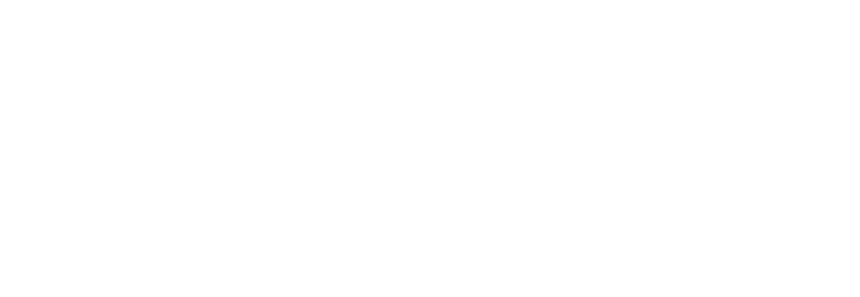 Blackbird Digital, LLC