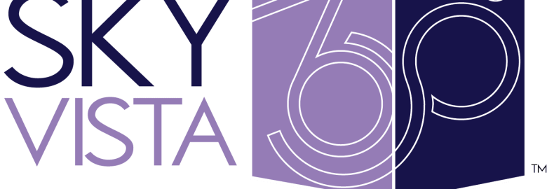 Sky Vista Consulting, LLC