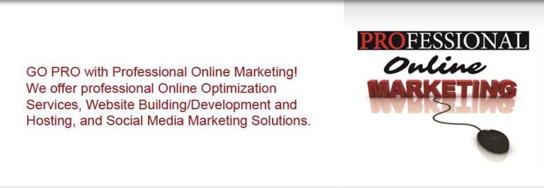 Professional Online Marketing LLC