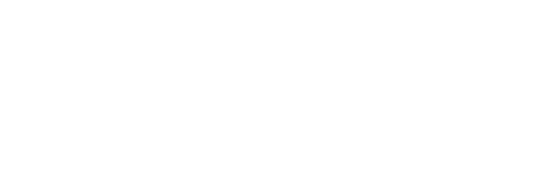 Snowy Owl Advertising, LLC