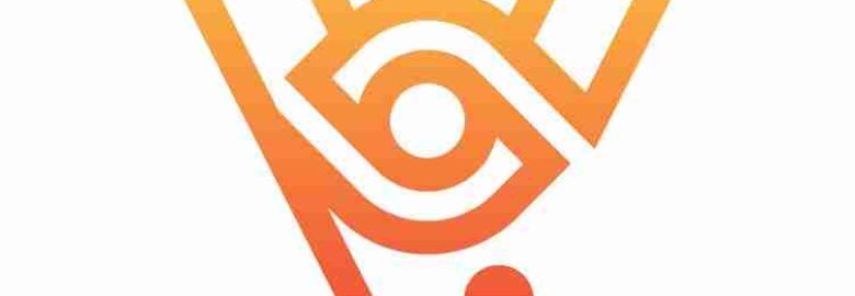 Visionary Web Solutions