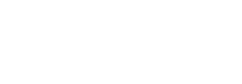 Strategy Wolf – SEO Agency