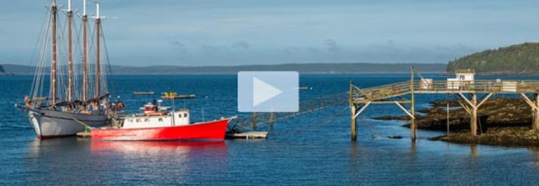 REACH Maine Marketing