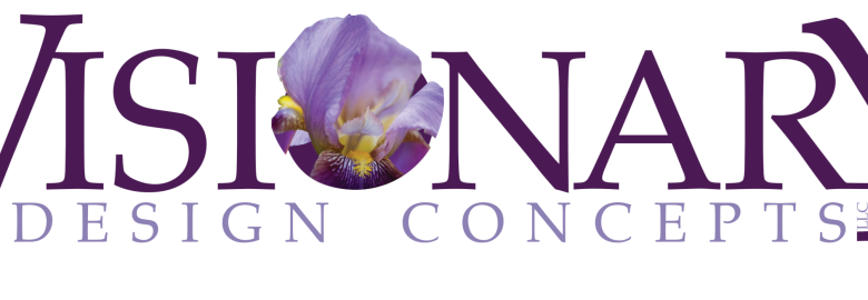 Visionary Design Concepts, llc