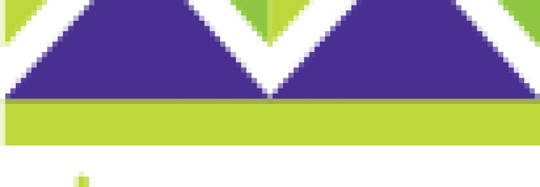 Visibility Marketing Inc.