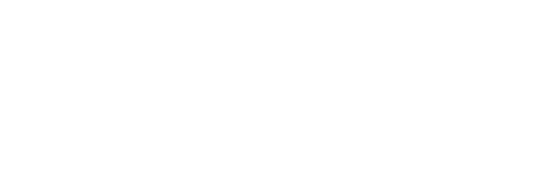 Web Alliance International Agency, LLC