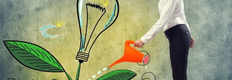 Florida Digital Media