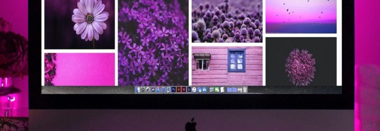 Eagles Wing Web Services