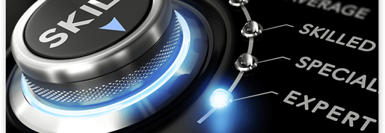 Internet Marketing Experience