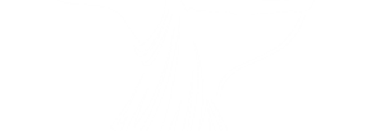 DhyZen Creative Services