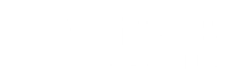 MSaaS Agency
