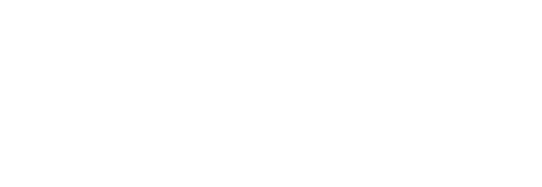Wave Marketing Co.
